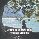 2030 | 유럽 세미패키지 전문 마이유럽 프스동 16일 2030 직장인 혼자 여행 후기