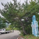 동림길 네이버블로그