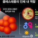 콜레스테롤 종류와 예방법 이미지