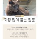 이상동물병원 이미지