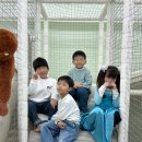 스타안마시술소 | 성남[플레이포레 키즈룸 위례점]아이랑 실내 대관
