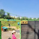 소담농장 이미지