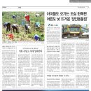 의정부시 고령장애인쉼터 | 2026년 6월 1일 경기일보 지면 분석, 사전투표율부터 생활경제와 교통안전까지