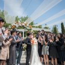 빌라드화이트 이미지