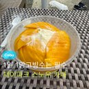 스노우제이 | 필리핀 세부 제이파크 망고빙수 맛집 스노우 카페(Snow Cafe) || 위치, 가는법, 가격, QR포장주문