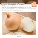 4라이프리서치코리아