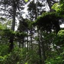 혹불이 영감 이미지