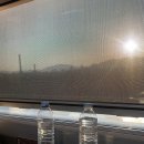 1박2일PC방 | 대전 1박2일여행 미뉴브카페 성심당 김치찹쌀주먹밥 한밭수목원피크닉