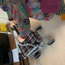 성곡동 행정복지센터 이미지