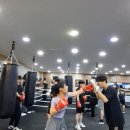 슈가복싱 프리미엄 하계점 이미지