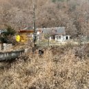 남원목장 이미지