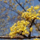 스테이서곡 이미지