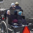 영화농장 이미지