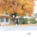 연풍초등학교 이미지