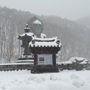 누구의 불행은 우리의 행복! 이미지