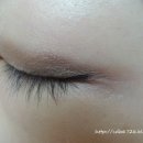 진컬렉션 이미지