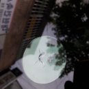 부산자동차유리복원 - 사하구 낙동대로 542 | 부산자동차유리복원
