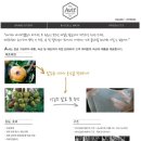 루루바이오 이미지