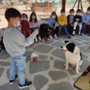인덕초등학교 병설유치원 이미지