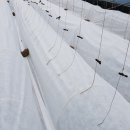 천풍농장 이미지