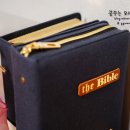 마마운동화이불빨래방 이미지