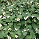 어송농장 이미지