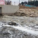 경북수지 이미지