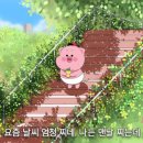 (주)스마트브리즈 이미지