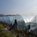 오가면010 네이버블로그