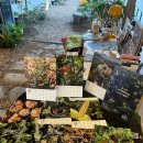 하농농장 이미지