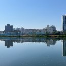 금호강영천 이미지