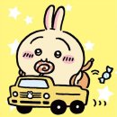 소라약국 | [2/16]가족끼리 고모볼겸 제주도 1박2일 방문 후기