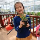 알로에테마파크 이미지