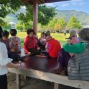 가고파플라워 이미지