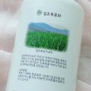 설초록홍화 네이버블로그