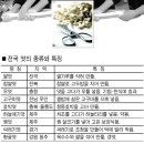 귀농영농 전통음식▒▒우리음식의 재발견 ③엿 이미지