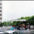 파래스 이미지