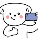 개폼나개 이미지