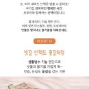 펫보드레 이미지