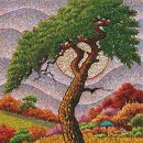 소나무를 품다 이미지