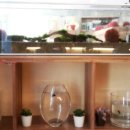 네추럴카페추추앤제제 이미지