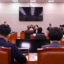 (주)코리아메디칼디바이스 데일리벳