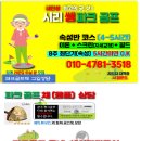 롯데마트주엽점 주변 네이버블로그