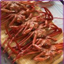 홍게천국 이미지