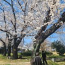 유당공원(주차장) 이미지