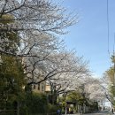 집밥이선생 | 도쿄 워홀 | D+46~48 : 집밥이선생, 칼디, 돈키호테 쇼핑