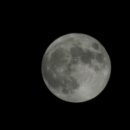 버드오토캠핑장 이미지