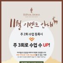 하이풀 스포츠 이미지