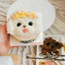 펫스튜리(petschurri) | 강아지 케이크 맞춤 제작 후기｜펫스튜리 반려견 생일 케이크 저알러지 단호박 고구마 홀케이크