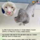 미소주유소 이미지